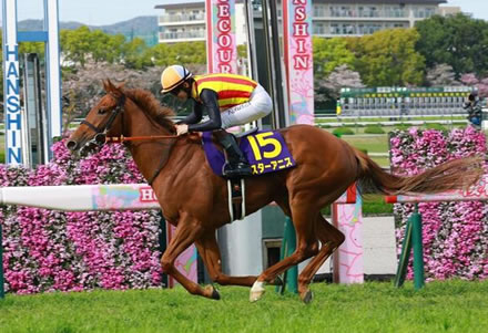 桜花賞に勝己、照哉、千津の吉田一族名義が6頭ってどうなん