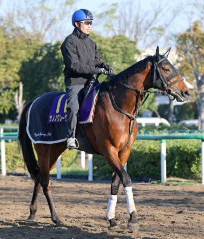 【皐月賞】繰り上がりで出走可能となったサノノグレーター　得意舞台で激走を狙う　尾形調教師「順調です」