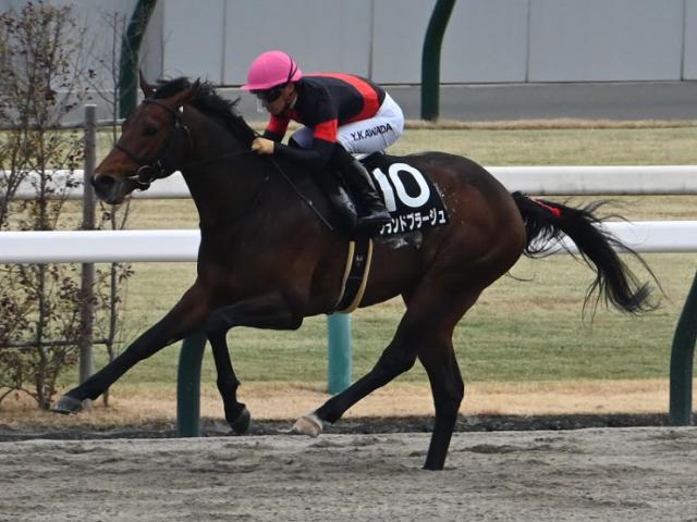 【アンタレスS予想オッズ】グランドプラージュが予想1番人気