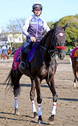 【中山グランドJ】史上5頭目連覇へ万全　草野太郎騎手は王座を「譲りたくない」ときっぱり　昨年の最優秀障害馬エコロデュエル