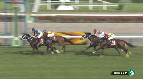 第44回ニュージーランドトロフィー(GⅡ) 反省会