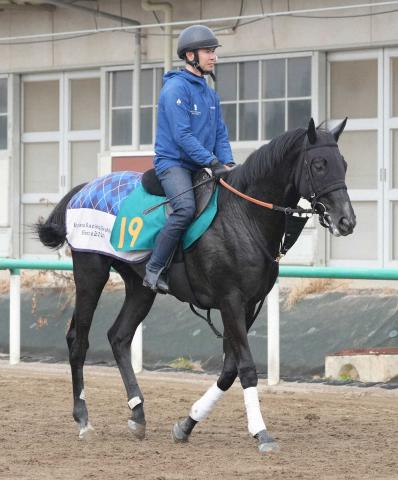 【皐月賞】ゾロアストロ　2ターン克服が鍵に 宮田師「距離延長心配ない」