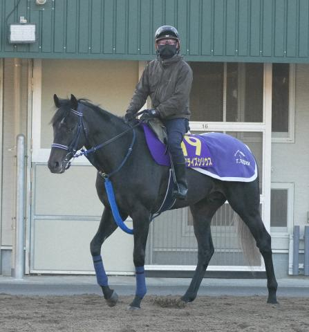 【皐月賞】リアライズシリウス 前回GIで5着の時より追い切りの動きが格段上