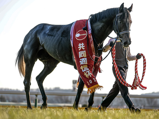 【皐月賞展望】王道ローテからリアライズシリウスがタイトルを射止める