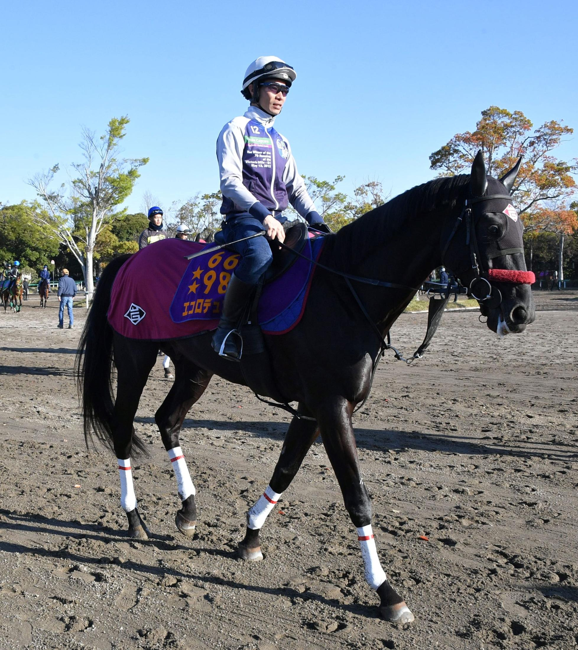 【中山ＧＪ】エコロデュエル　ＪＧ１・３連勝目指す　草野「自信を持っていけます」