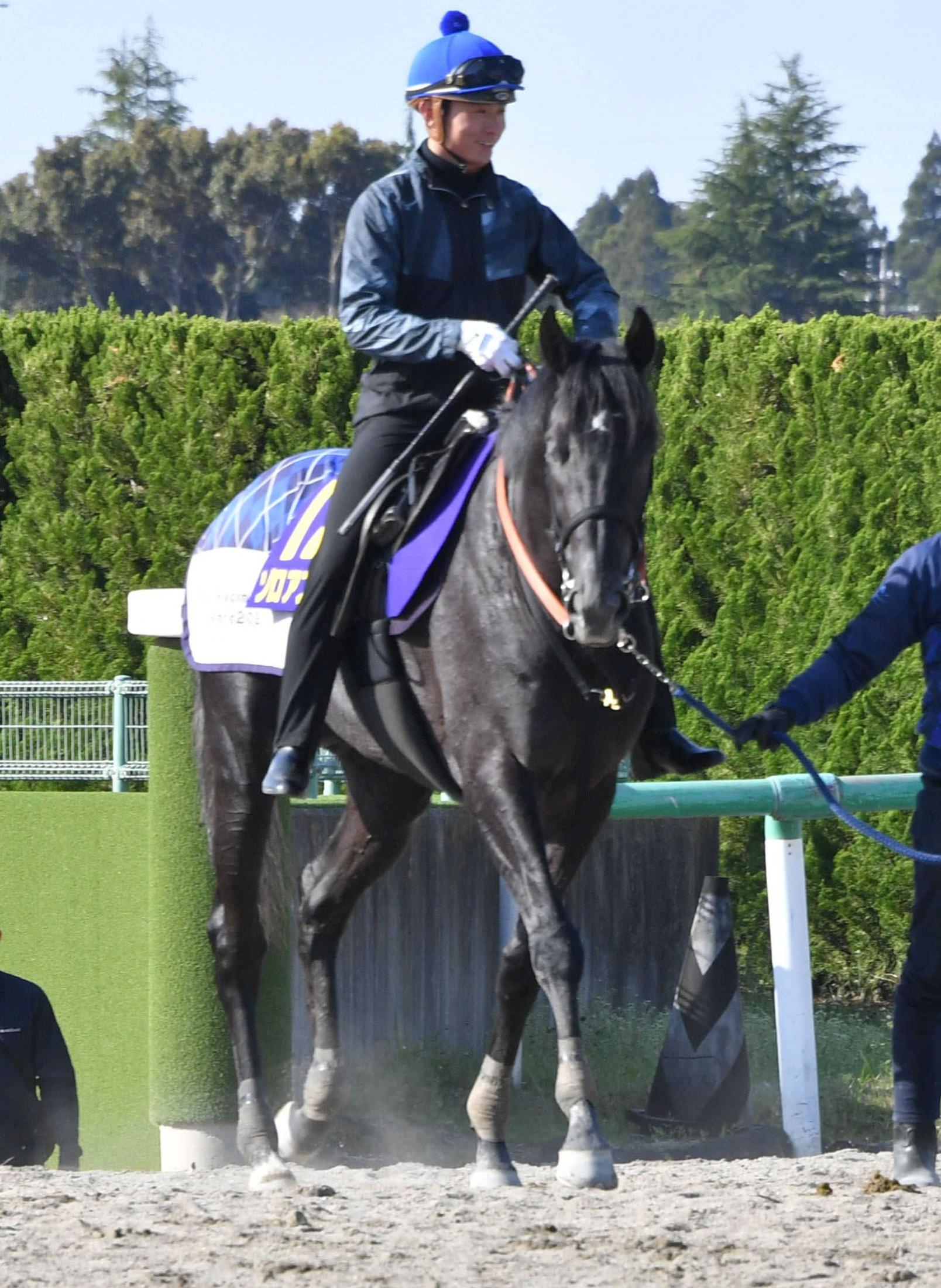 【皐月賞】ゾロアストロ覚醒　初の関西、右回り、開催順延−成長示した重賞Ｖの勢いに乗る　宮田師初のクラシック制覇へ期待