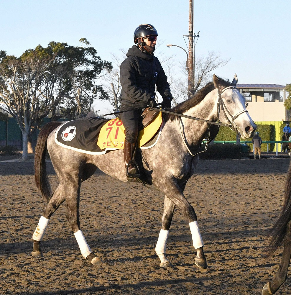 カピリナは予定通りヴィクトリアＭへ向かう