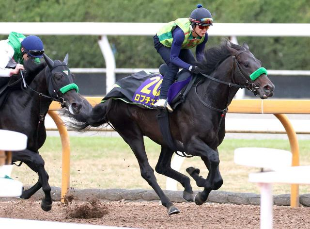 【G1トク捜リレー】栗東・松ケ下記者の注目はG1制覇時と同じCWコース追いに戻した前哨戦3着馬　皐月賞