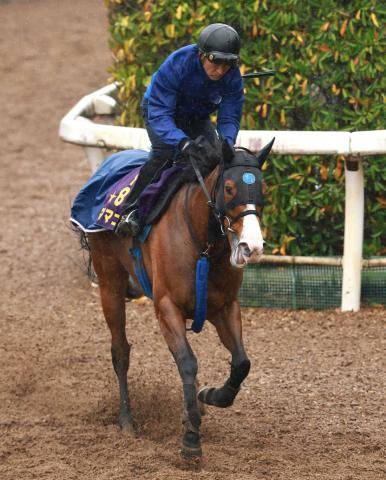 【東京スプリント】唯一の牝馬ママコチャは5着　「今日できる精一杯の走りです」川田将雅騎手は16年ぶり勝利ならず