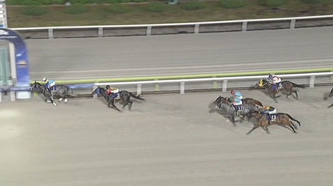 【東京スプリント】そっちの方のヤマニンｷﾀ━(ﾟ∀ﾟ)━!www