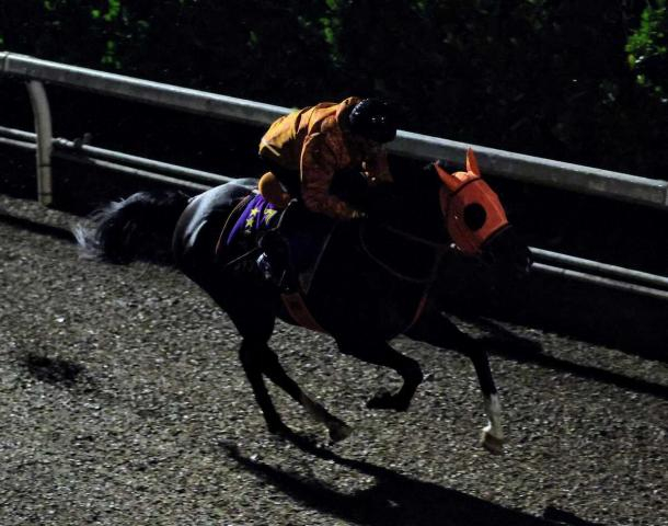 【香港チャンピオンズデー国内最終追い】ジャンタルマンタル超抜の伸び、万全の仕上がり