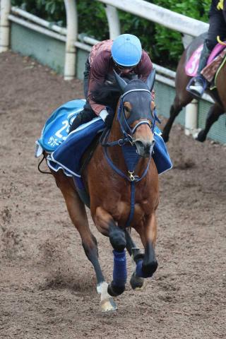 【アンタレスS】サンデーファンデー単走軽快　角田「活気があっていい感じ」