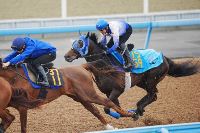 【中山グランドJ】石神深、最後の大舞台へ　プラチナドリーム良化実感