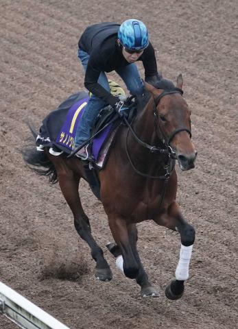 【皐月賞】サノノグレーター、田辺を背にリズム良く加速　尾形師も評価