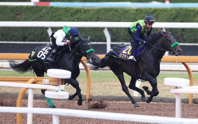【皐月賞】ロブチェン重厚感　CWコース半マイル追い　切れ味抜群ラスト1F11秒3