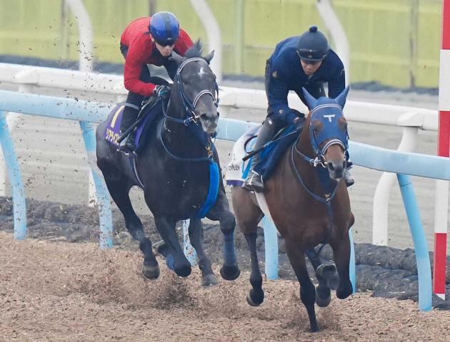【皐月賞】リアライズシリウス戴冠の舞　津村「抜群でした」Wコース軽やかにラスト1F11秒1