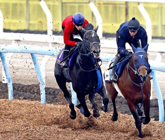 【皐月賞】リアライズシリウス抜群の推進力ラスト11秒1　津村「一段階上がっていますね」手塚久調教師「先週に比べて鋭さが加わっている」