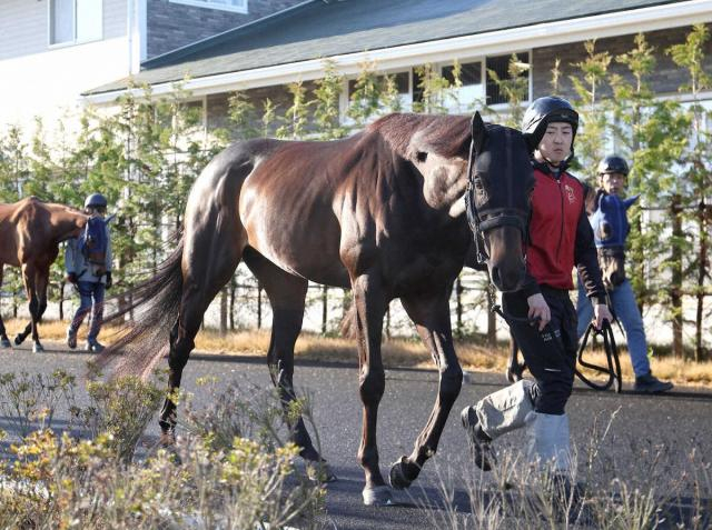 【皐月賞】(5)アスクエジンバラ　変わらず好気配　福永師は満足げ「不安な面は少ない」