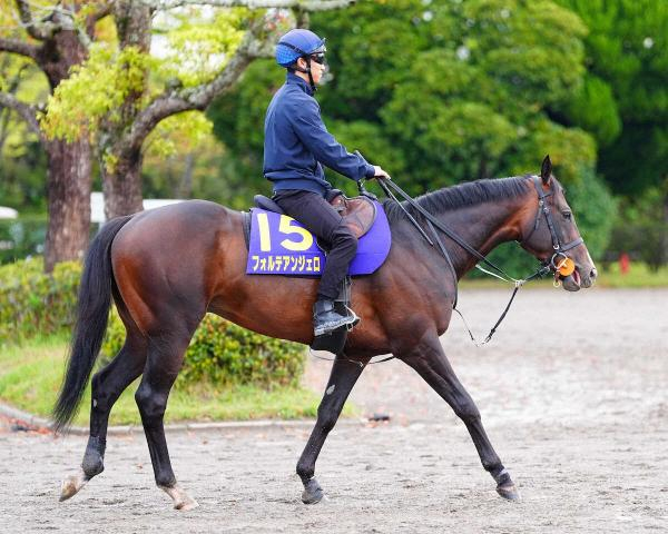 【皐月賞】(6)フォルテアンジェロ　自在に立ち回る　上原佑師「器用なので」