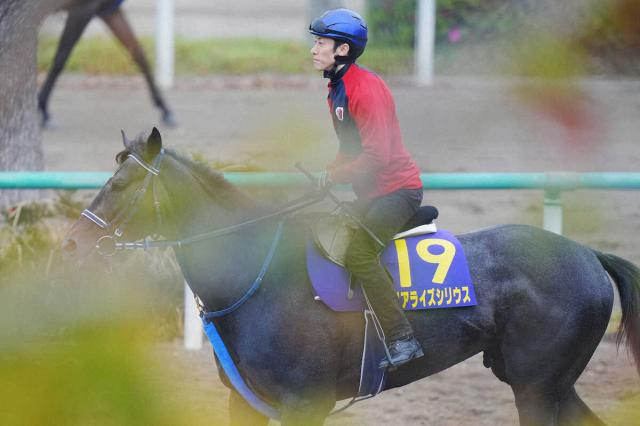 【皐月賞】(15)リアライズシリウス　坂路でキビキビ　手塚久師「申し分ない」