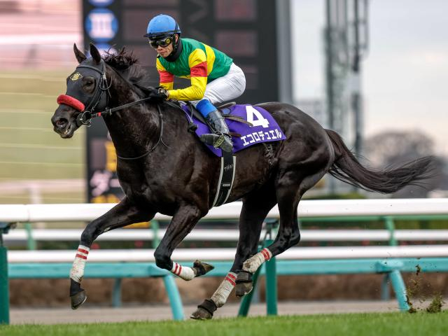 【中山GJ予想】上半期の最強ジャンパー決定戦 過酷な4260mを制するのは