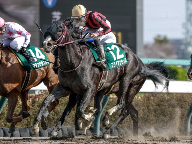 【アンタレスS予想】帝王賞への重要な前哨戦 差し脚鋭い実績馬に注目