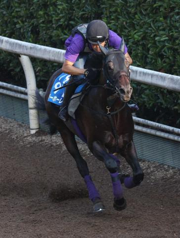 ディープインパクト産駒の8歳馬ヨーホーレイクが引退…競馬学校で乗馬に　大阪杯7着がラストラン
