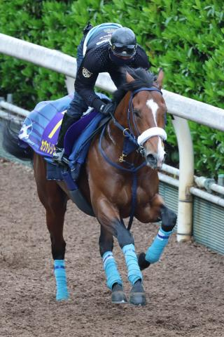 【皐月賞】(1)カヴァレ混戦絶つ!最内からロスなく運べる