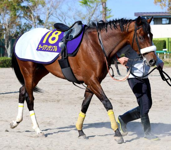 【皐月賞・最終調整】「武井厩舎で重賞勝ちたい」高杉吏麒騎手ラージアンサンブルでVなるか　トレーナーは「まだウチで...」