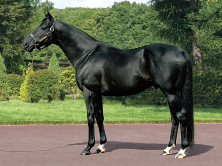 【回顧】キズナ十二神将とは何だったのか？