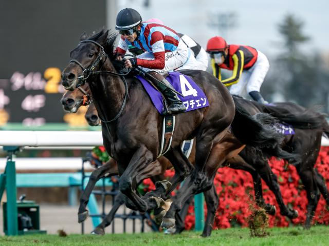 【皐月賞予想】GI勝ちをどう評価するか 前走結果から注意すべき人気馬