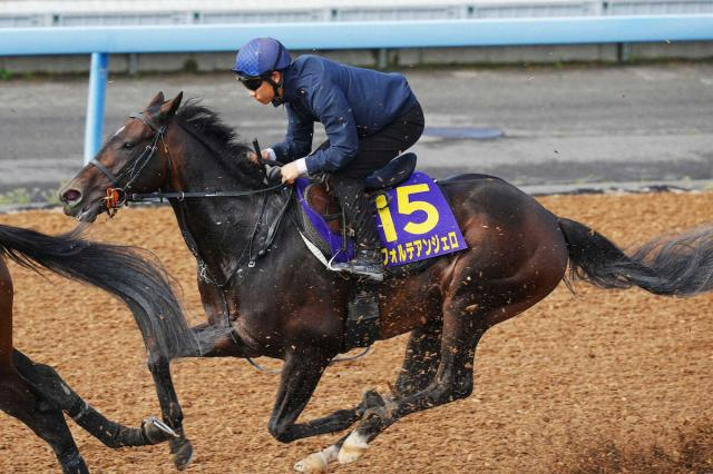 【皐月賞】(6)フォルテアンジェロ　心身ともに成長　舞台経験の強みと操縦性の高さ生かす