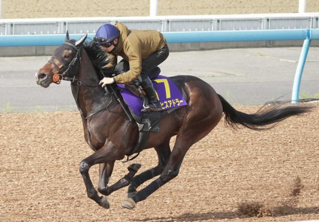 【皐月賞】(9)ライヒスアドラー　状態UPに手応え　底力侮れず