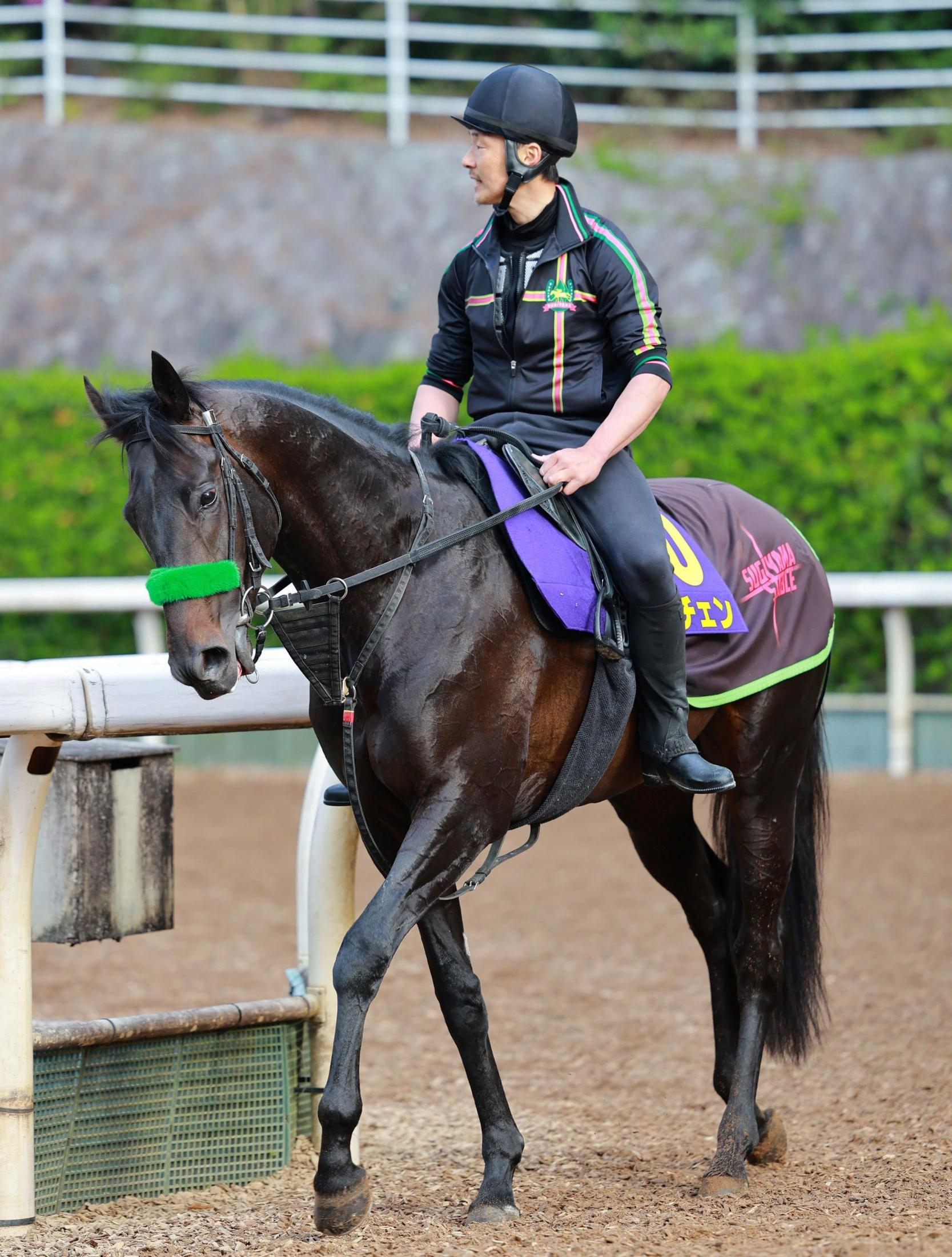【皐月賞】ロブチェン　秘める無限の可能性　房野助手「能力としてはまだまだ上がある」　精神面も安定し体重も維持で順調アピール