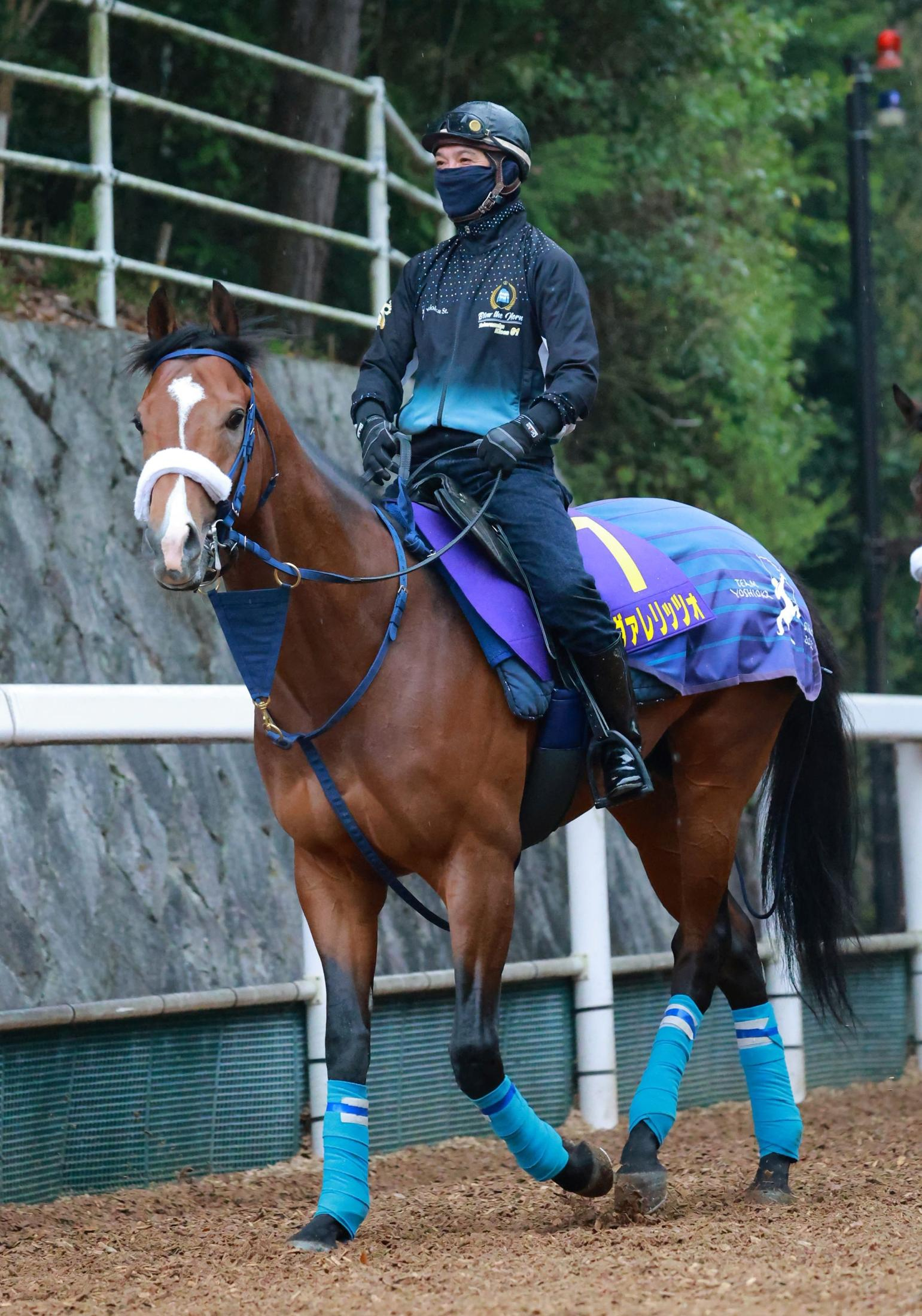 【皐月賞】カヴァレリッツォ　馬体も体調も万全　初の長距離移動も問題なし！松原助手「おとなしい馬なので大丈夫でした」