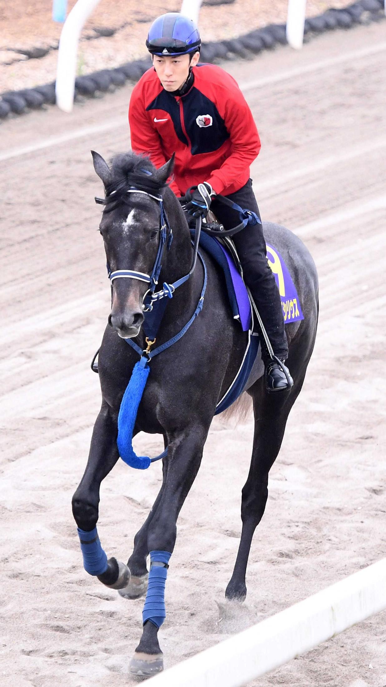 【皐月賞】リアライズシリウス　手塚師は順調強調　戦法は津村にお任せ「彼も色々と考えている」差す競馬の可能性も【一問一答】