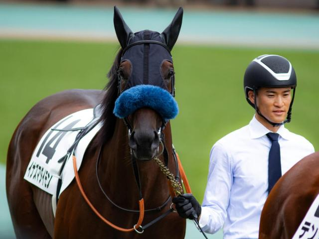 「ウマ娘」藤田晋オーナーのイナズマダイモン 初勝利からの連勝なるか