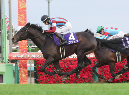 【皐月賞】ロブチェン頭で買うヤツ