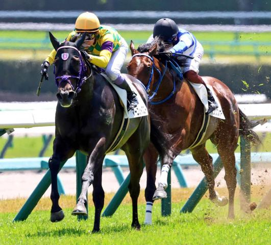 【中山5R】武豊騎手がマーゴットブローを完璧エスコート　伊坂調教師「お手本のような競馬。さすが豊さん」