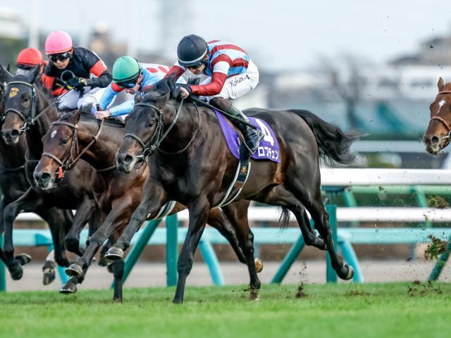 【皐月賞・馬体重】ロブチェンは520kg(+2)、グリーンエナジーは490kg(±0)