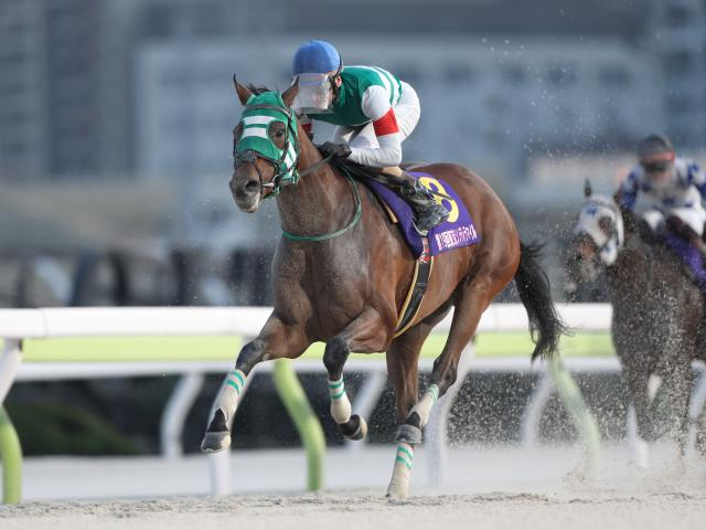 【浦和・しらさぎ賞枠順】重賞3勝のホーリーグレイルは8枠13番 春の南関東女王決定戦