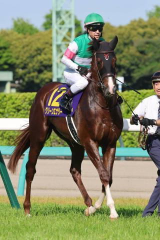 【皐月賞】2番人気のグリーンエナジーは7着　戸崎圭太騎手はジャスティンミラノ以来2年ぶりVならず