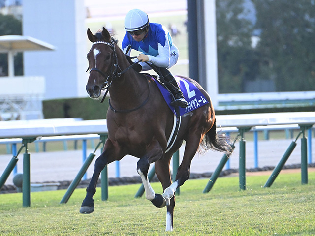 【マイラーズC】アドマイヤズーム、シックスペンスなどが登録