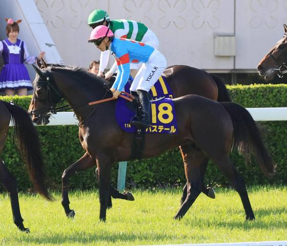 【皐月賞】報知杯弥生賞の勝ち馬バステールは11着　川田将雅騎手「弥生賞からひとつ成長して、今日を迎えられました」