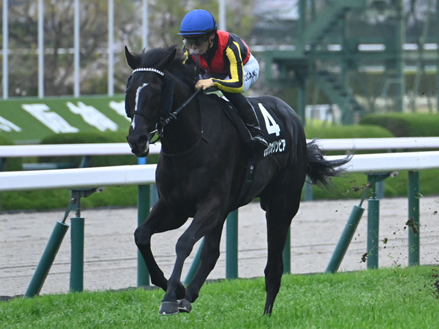 【青葉賞見どころ】日本ダービーに向かって視界良好のレースを見せるブラックオリンピア