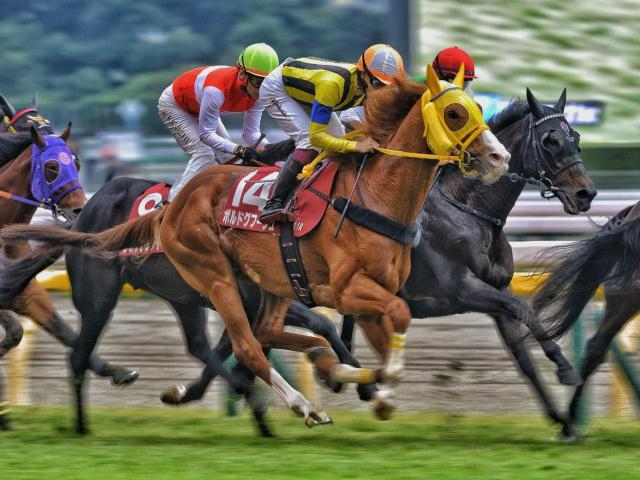 【先週のJRA抹消馬】22年の菊花賞・有馬記念で2着のボルドグフーシュ、芝中距離で重賞3勝のヨーホーレイクなど