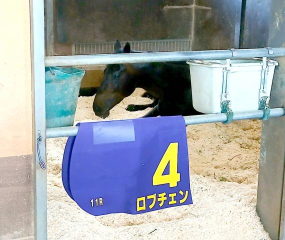 皐月賞Vのロブチェンは一夜明け馬房でゴロゴロ　陣営「松山騎手をダービージョッキーにしてあげたい」