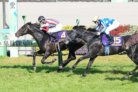 ロブチェンって三冠馬行けそうじゃね？