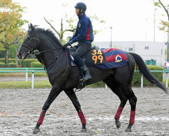 【青葉賞】森一調教師「東京向きの馬」&レーン騎手と新コンビ　無傷3連勝でノーブルサヴェージがダービーの権利取りへ