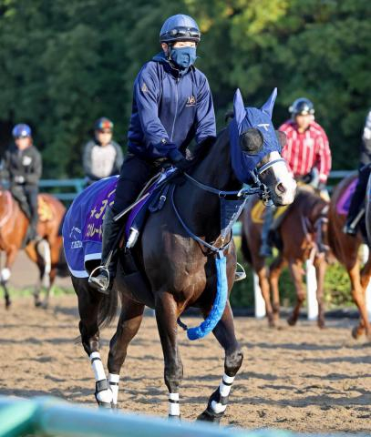 【香港・QE2世C】世界最高賞金ホースに挑戦するマスカレードボール　手塚久調教師は「胸を借りる立場」と話すが...